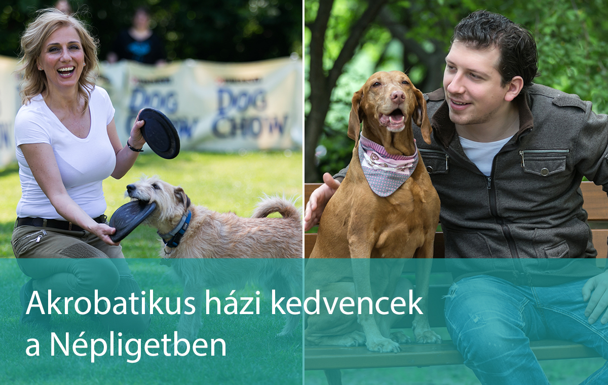 Dog Chow vezer